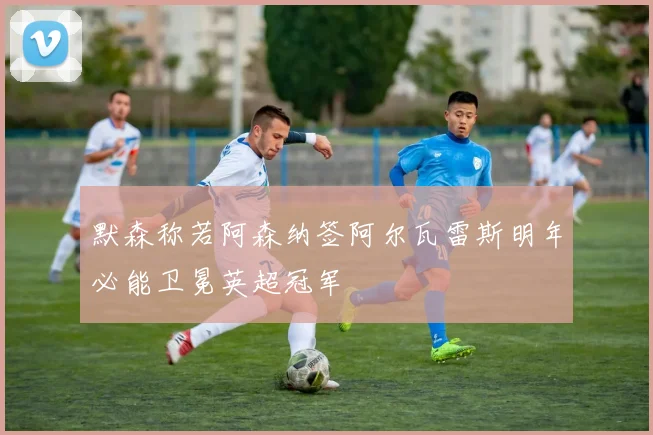 默森称若阿森纳签阿尔瓦雷斯明年必能卫冕英超冠军