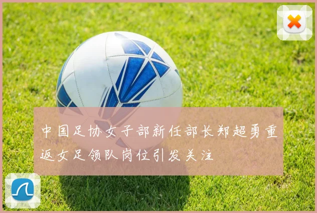 中国足协女子部新任部长郑超勇重返女足领队岗位引发关注